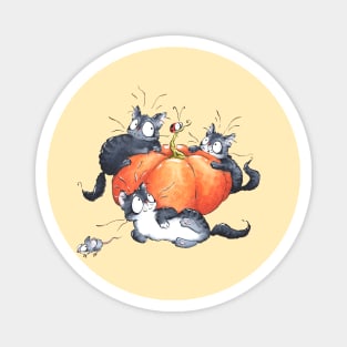 Halloween Cats Magnet